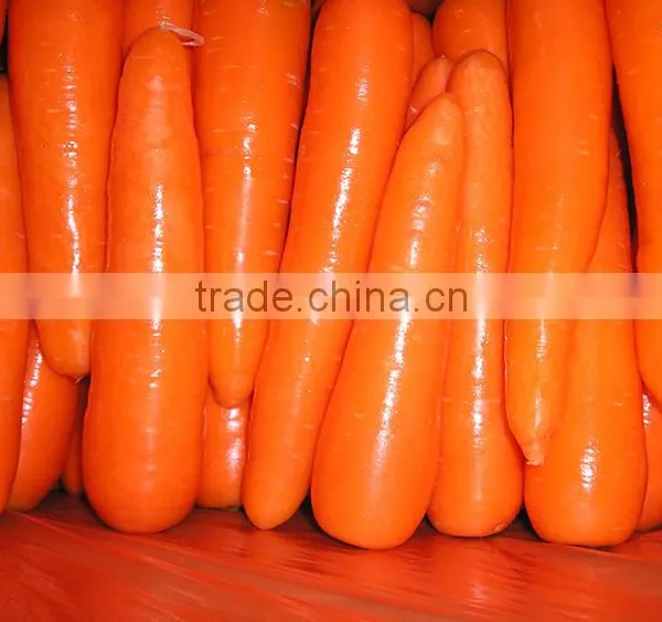 Fresh Preserved Carrots photo-2