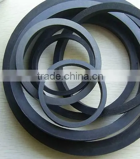 Door/Auto Rubber Gasket/Silicone Rubber Gasket