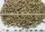 Robusta Coffee Grade 1 photo-3