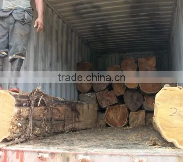 TEAK WOOD photo-2