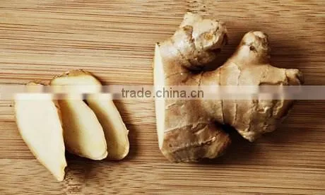 AIR DRIED GINGER 150G UP photo-4
