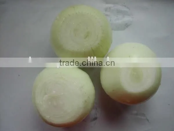 White Good Peeled Onion Producer in China photo-4