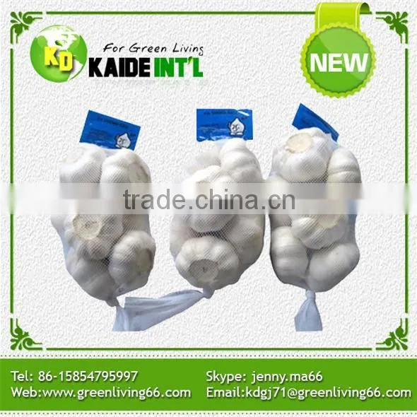 Dried Garlic Granules
