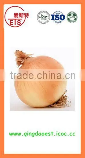 Best Quality Fresh Products Red/yellow Onion From China photo-2