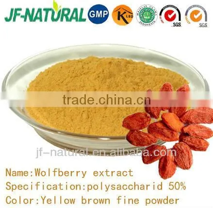 Wolfberry Extract High Quality Ningxia Wolfberry