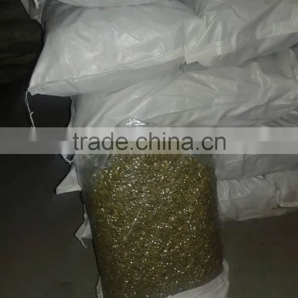 Xinjiang Bulk Pumpkin Shine Skin Kernels photo-4