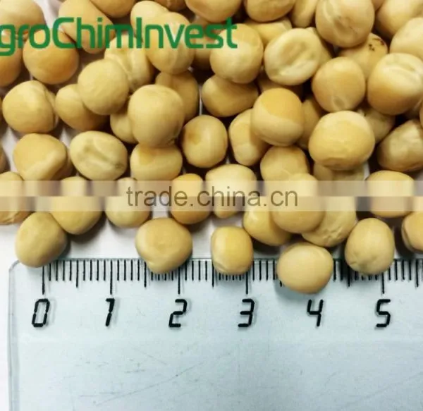 YELLOW PEAS