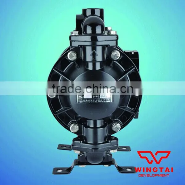 3/4'' Double Pneumatic PTFE Membrane Ink Pump 20# photo-3