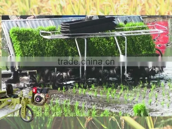 Top Quality Rice Transplanter photo-4
