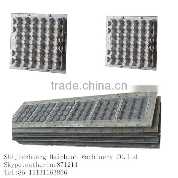 Customized Plastic Egg Carton Mould photo-2
