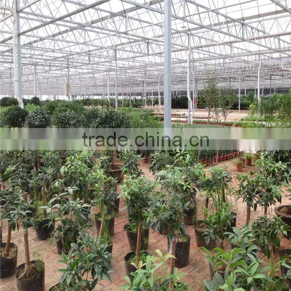 Polycarbonate Greenhouse photo-6