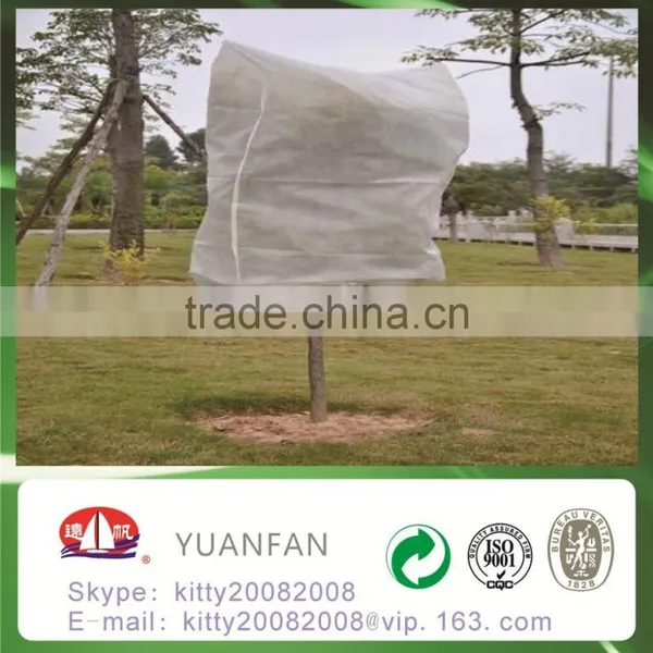 SS PP Spunbond Nonwoven Fabric for Plant Cover / Tree Cover photo-2