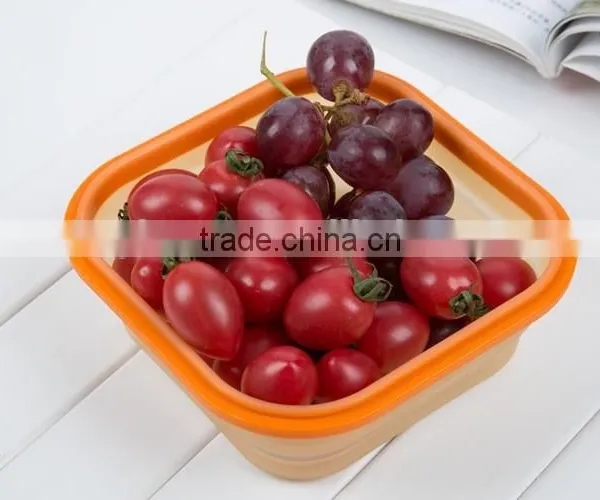 Silicone Food Grade Small Fruit Box Airtight Lunch Box photo-2