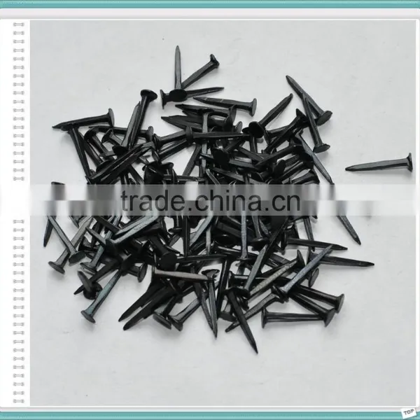 Bulk Different Size Blue Shoe Tack Nail photo-5