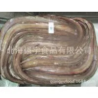 Frozen Conger Eel Whole Round