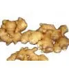 Sell Fresh Ginger