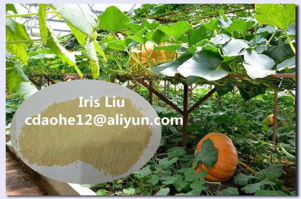 52% Amino Acid Fertilizer Powder/Amino Acid/Amino Acid Agriculture/Amino Acid Powder/Organic Fertilizer photo-3
