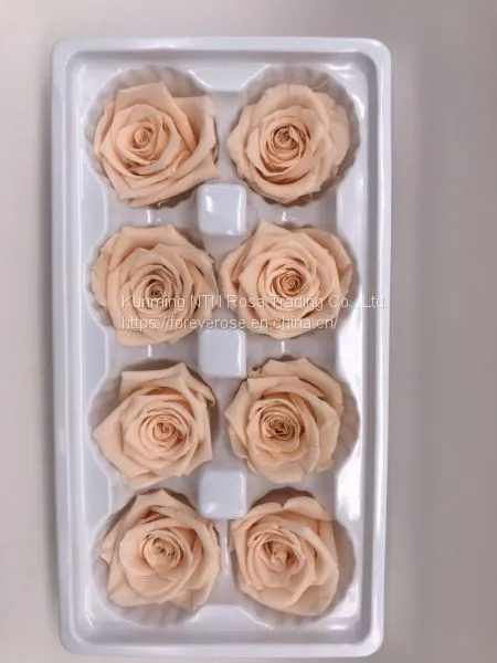 Preserved Flowers Wedding Bridal Bouquets Natural Eternal Roses photo-3