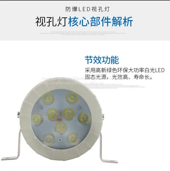 Explosion-proof Sight Hole Lamp Explosion-proof Mirror Lamp Mirror Lamp for Reaction Kettle LED 5W24v 220v12v36V BAK51 photo-5