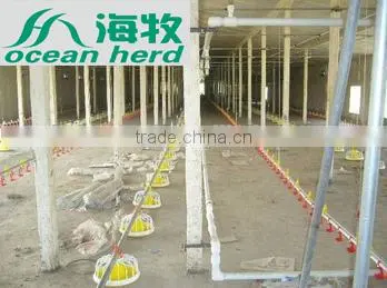 Automatic Poultry Watering System for Chickens photo-6