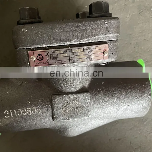 Forged Steel Check Valve Swing Type SW Connection 150lb 300lb 600lb 900lb 1500lb 2500lb
