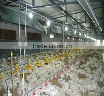 High Quality Poultry Feeding Pad for Broilers and Layers photo-4