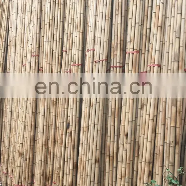 Sell Off Reasonable Price 100% Natural Bamboo Premium Quality Standard Size Open for Decoration From Viet Nam photo-3