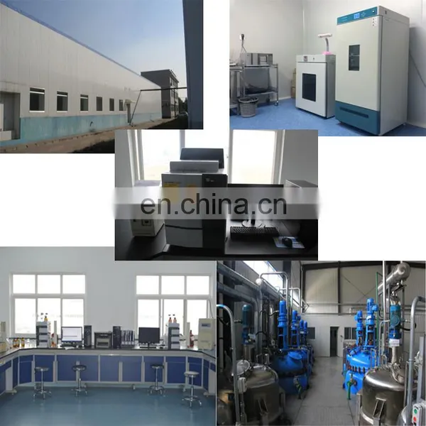 Pure Gymnemic Acid 25% and 75% Gymnema Sylvestre Extract Powder photo-2