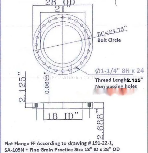 Customized Forged Carbon Steel Flat Face Flange With Non Passing Thread As per the Drwing photo-3