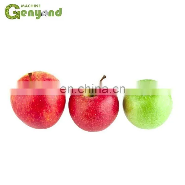 GYC GENYOND Juice Belt Press Machine Price photo-2