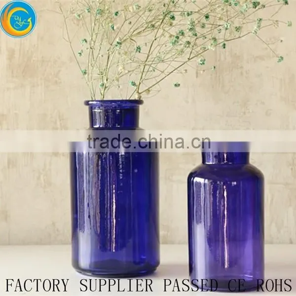 Stylish Colorful Glass Bottle Plant Vase or Moss Terrarium Clear Flower Vases Quality Choice photo-2