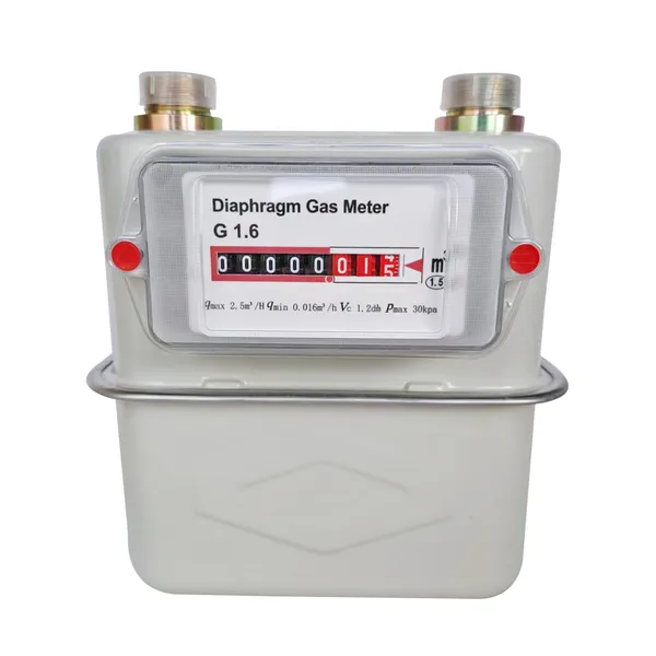 High Precision G4-G100 Aluminum/Steel Shell Diaphragm Membrane Gas Meter photo-3