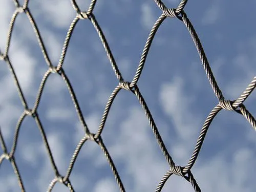 Hebei Longen Supply Wire Mesh for Parrots OEM Steel Rope Mesh Protecting Mesh Woven Protection Plain Weave Customizable CN;HEB photo-2