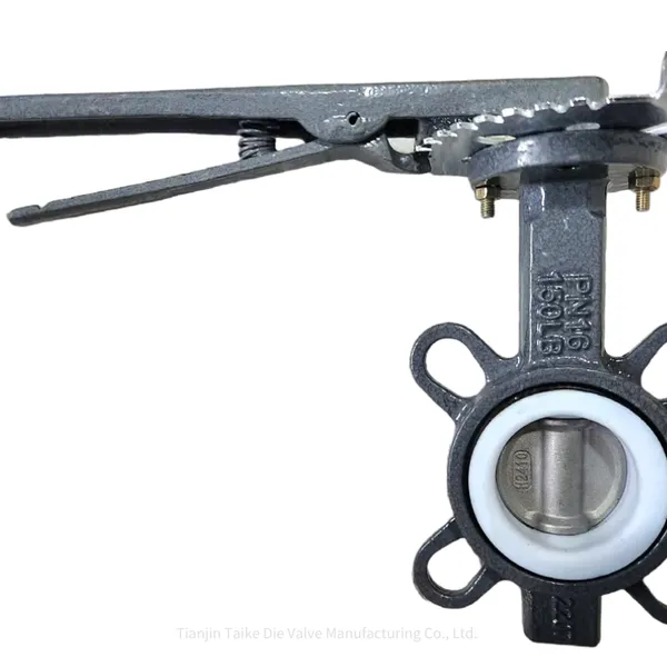 Jintaike Factory Directly Supplies Manual Ptfe Butterfly Valve D71f With High - Quality Frp Ptfe Valve Seat, Fluorine - Lining Available photo-2