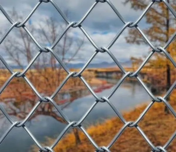High Quality Heavy Gauge Welded Wire Mesh Panels With PVC Coating for Outdoor photo-3