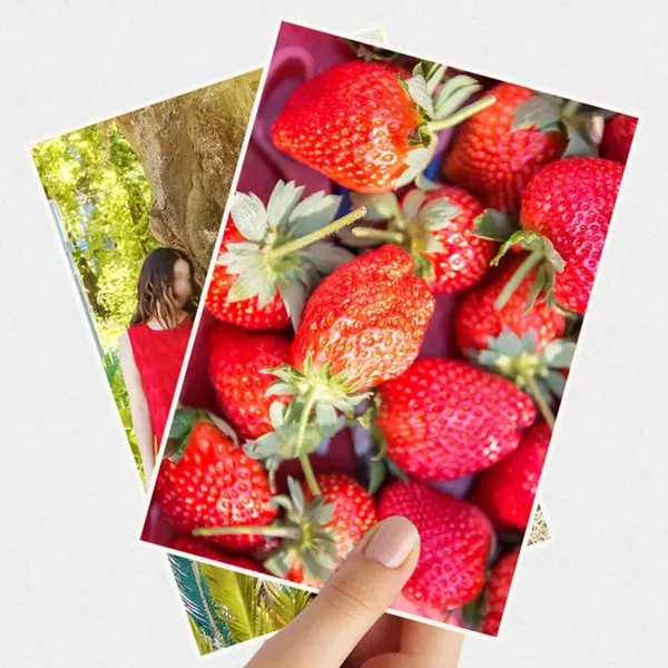 2026 Inkjet Coated Label Paper for UV Flexo Printing