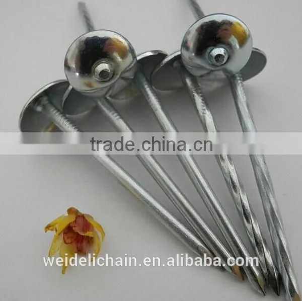 Twisted Shank Umbrella Roofing Nails photo-6