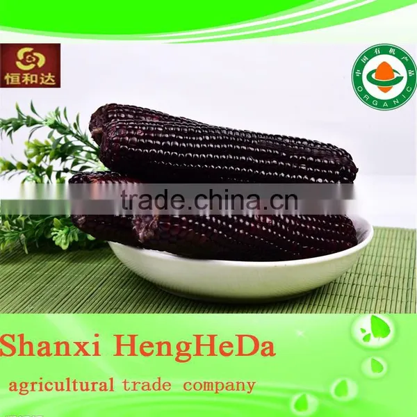 2014 Hot Selling Dried Corn for Sale photo-5