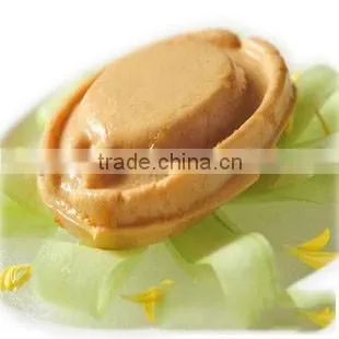 Full Automatic Modified Starch Machine photo-3