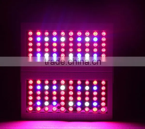 60x5w LED Grow Light High Quality Best for Grow Box photo-6