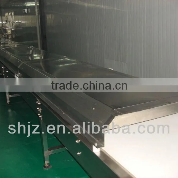 Stainless Steel Net Conveyor Sterilization Equipment
