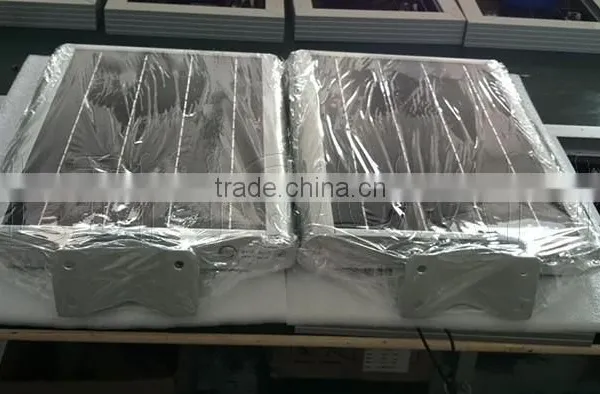 All in One Adjustable Poles Solar Street Light 8W photo-2