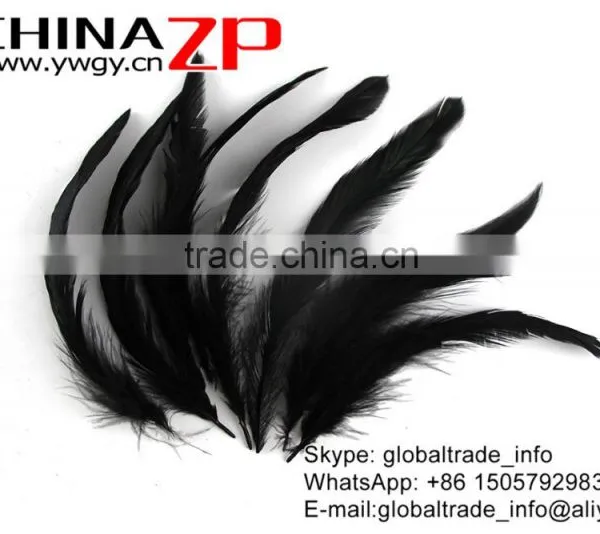 Leading Supplier CHINAZP Factory High Quality Black Chicken Dyed Rooster Schlappen Feathers photo-4