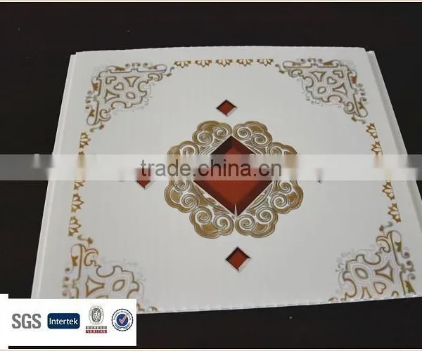 60cm*60cm Pvc Plastic photo-4
