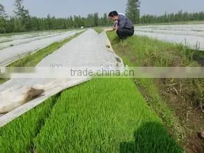 pp Spunbond Nonwoven Fabric for Agricultural Use in Piece Packing