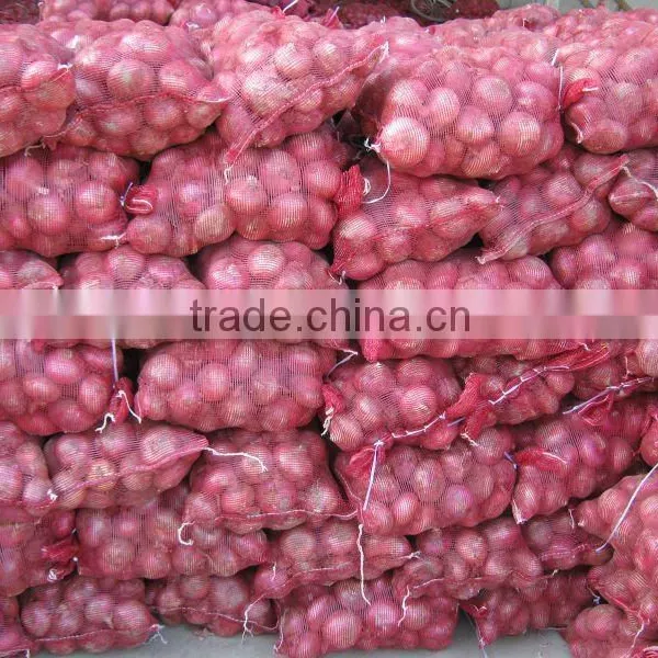 Fresh Red Onion