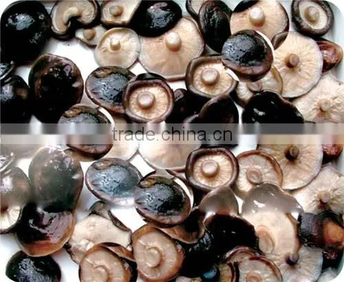 Brined Shiitake, Shiitake in Salt Water