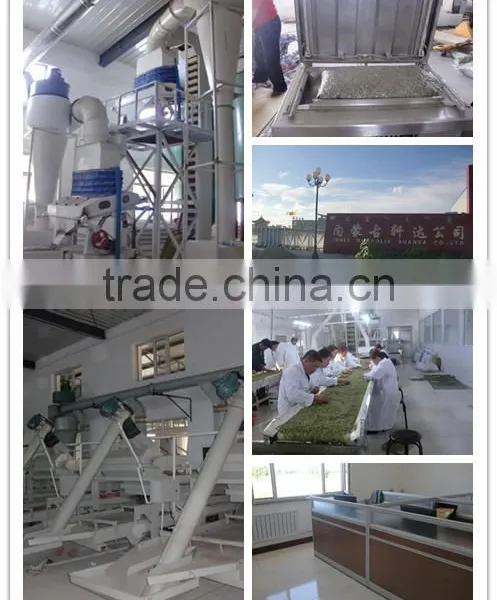 High Quality China Shine Skin Pumpkin Seed in Shell photo-4