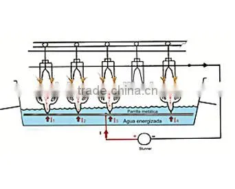 10000bph Waterbath Electric Chicken Stunning Equipment/Poultry Stunner photo-3
