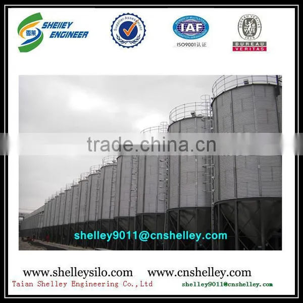 Poultry Feeding Equipment Silo photo-3